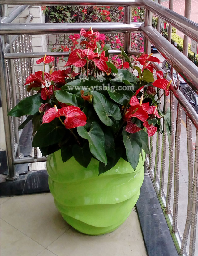 玻璃鋼花盆 玻璃鋼花盆