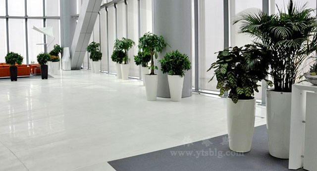 玻璃鋼花瓶 玻璃鋼花瓶