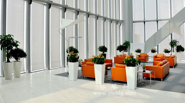 玻璃鋼花瓶 玻璃鋼花瓶