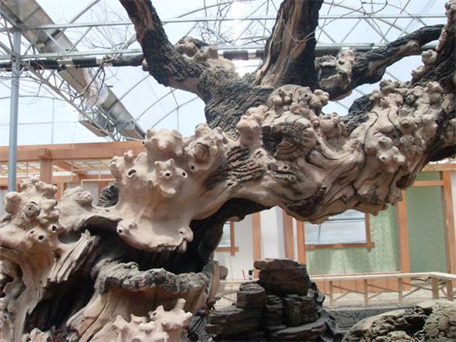 美陳展示DP點陳列 美陳展示DP點陳列