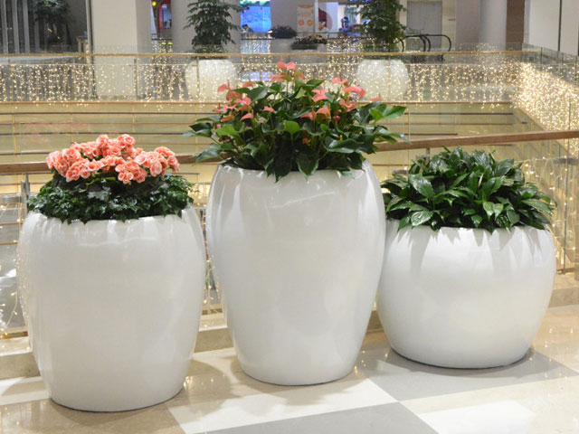 商場(chǎng)玻璃鋼圓形花缽 商場(chǎng)玻璃鋼圓形花缽