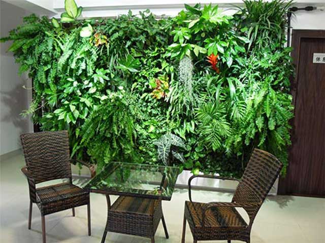 商業(yè)室內(nèi)仿真植物墻 商業(yè)室內(nèi)仿真植物墻